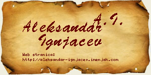 Aleksandar Ignjačev vizit kartica
